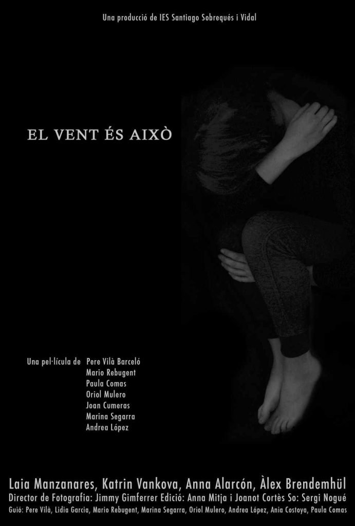 aixo es el vent poster